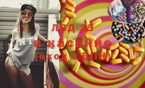 прущая мука Арсеньев