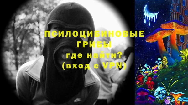 прущая мука Арсеньев