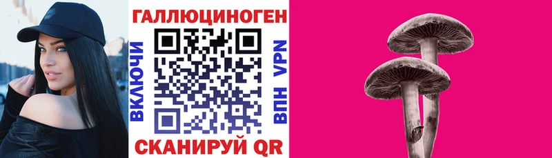 Псилоцибиновые грибы Cubensis  Тырныауз 